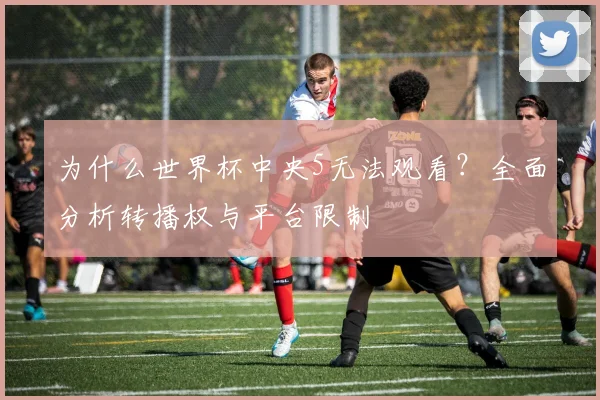 为什么世界杯中央5无法观看？全面分析转播权与平台限制