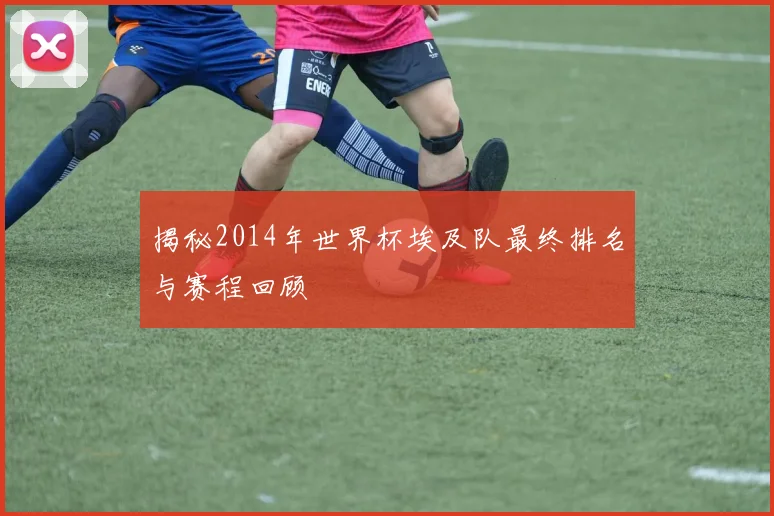 揭秘2014年世界杯埃及队最终排名与赛程回顾