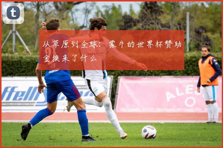 从草原到全球:蒙牛的世界杯赞助金换来了什么