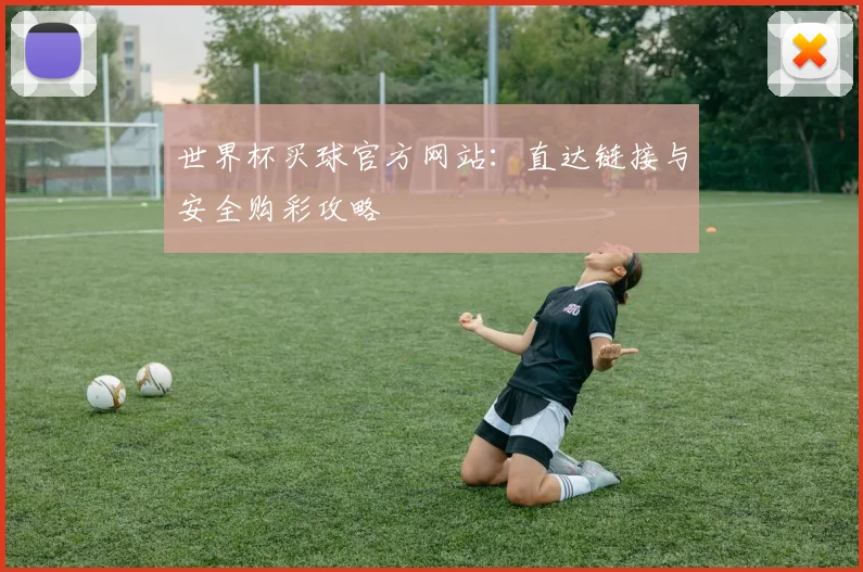 世界杯买球官方网站:直达链接与安全购彩攻略