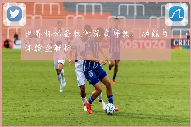 世界杯必备软件深度评测:功能与体验全解析