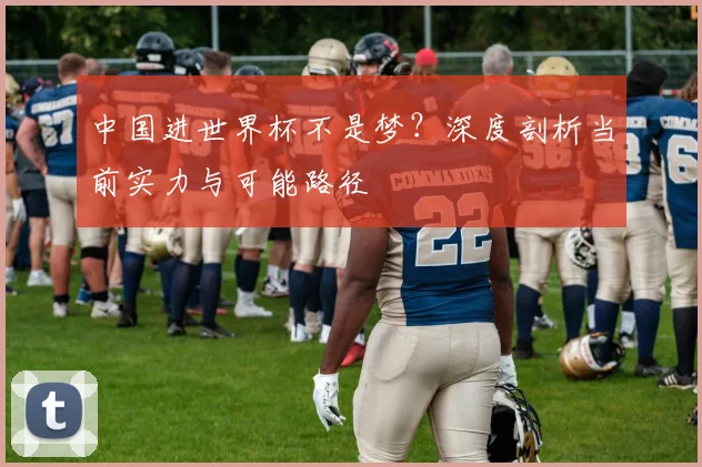 中国进世界杯不是梦?深度剖析当前实力与可能路径